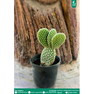 ميكي ماوس 